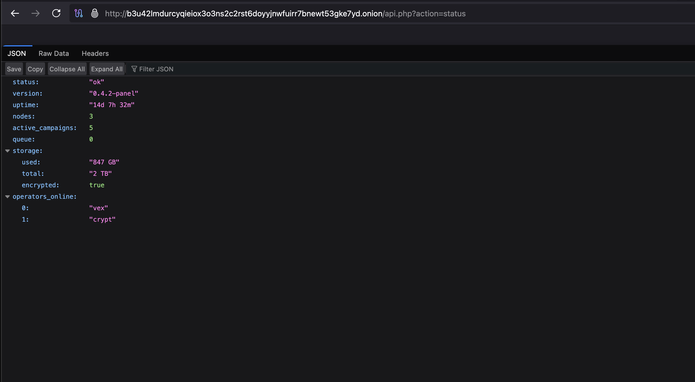 Status API response showing panel version, uptime, storage, and online operators